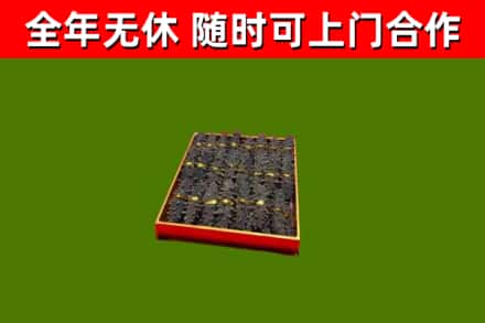 五河回收海参